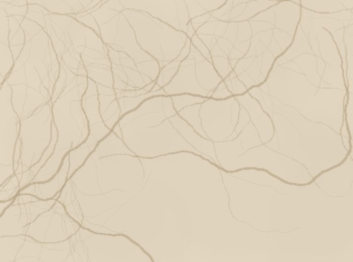 Botticino cream marble in a Lahore drawing room